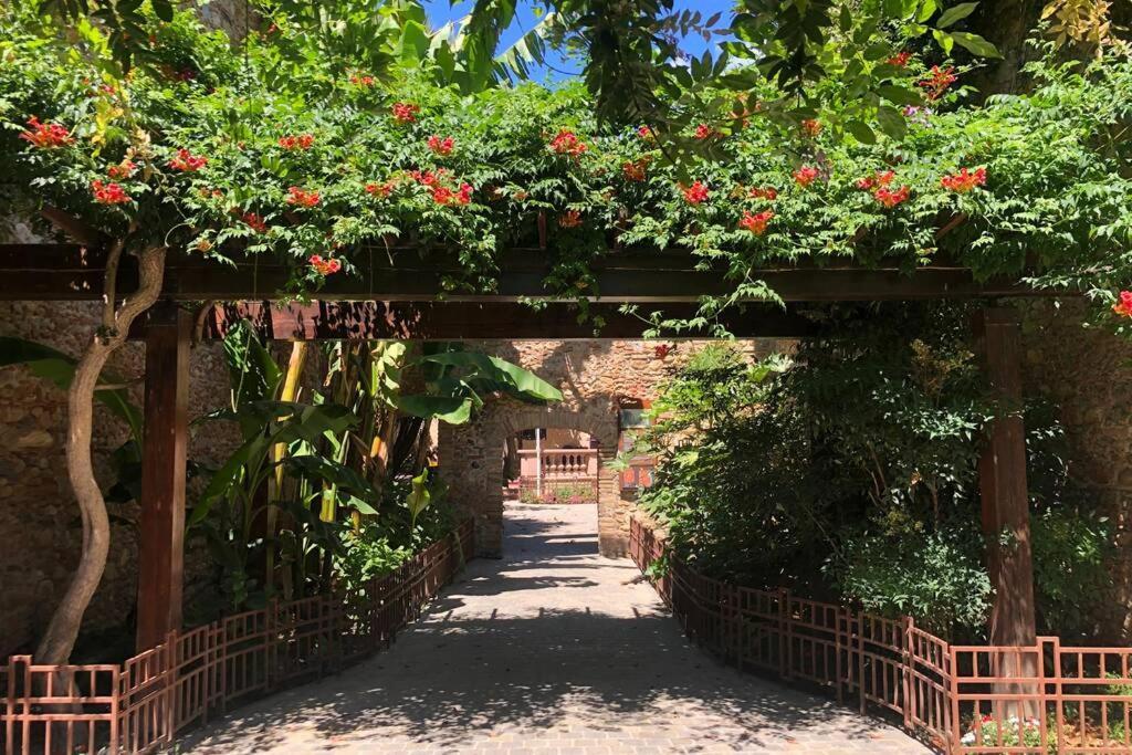 Carrer Del Sol Villa Sainte-Marie-la-Mer Luaran gambar